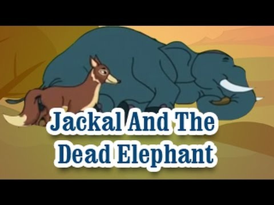 Jackal And The Dead Elephant | The Grandpa's Stories English