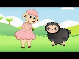 Baa Baa Black Sheep | Cartoon Animation Nursery Rhyme Songs for Children