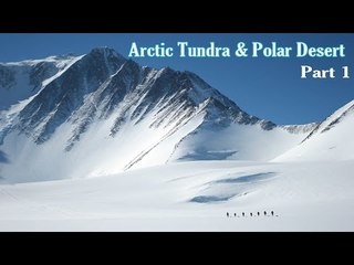 Learn - A Arctic Tundra And Polar Desert - Kids Learning Videos - Part 1