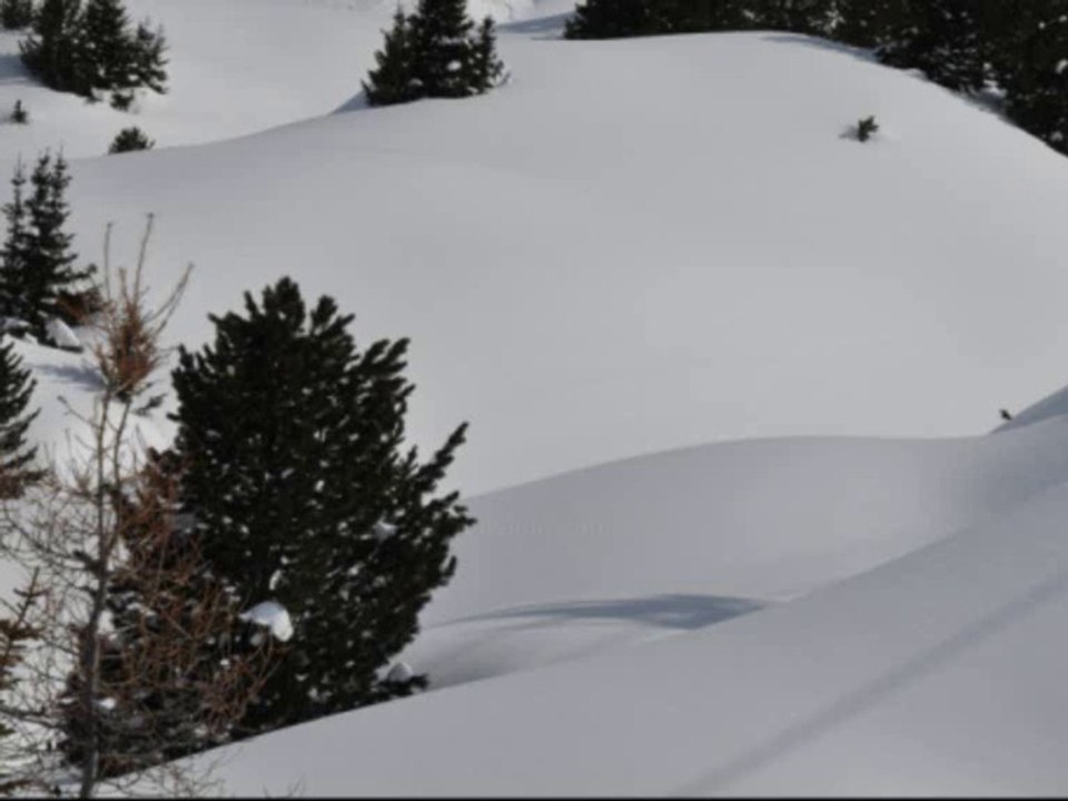 Bien skier ? - Sport d'hiver