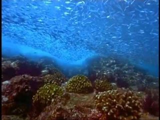 Soft Music for Relaxation - Sounds for Yoga Exercises & Meditation - Descent into the Indian Ocean