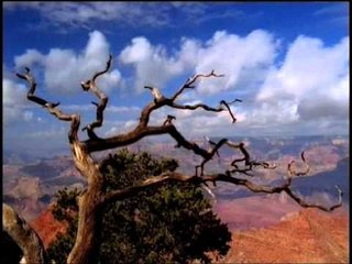 Introspective Instruments - Instrumental Musical Sound For Stress Relief, Healing