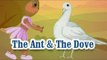 The Ant & The Dove | Panchatantra Tales | English Animated Stories For Kids