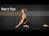 How To Do Yoga For Cure Young Heart | Poses,Diet Chart,Nutritional Management,Yogic Healing