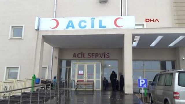 Siverek?te 'Domuz Gribi' Şüphesi