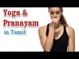 Yoga Pranayam - Various Asanas and Breathing Exercise in Tamil