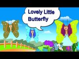 Lovely Little Butterfly Nursery Rhyme With Lyrics - English Songs For Children