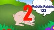Rabbits Rabbits 123 Nursery Rhyme With Lyrics - English Songs For Children