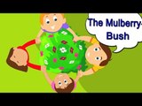 The Mulberry Bush Nursery Rhyme With Lyrics - English Songs For Children