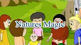 Natures Magic | Fun And Learn Videos | English