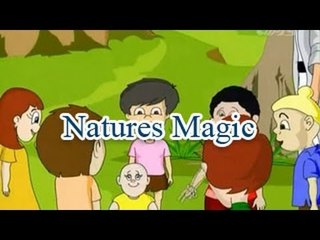Natures Magic | Fun And Learn Videos | English