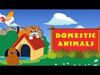Learn - Domestic Animals - Kids Educational Videos