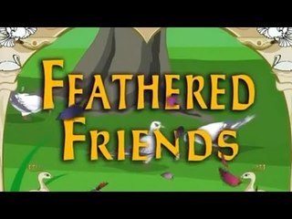 Learn - Feathered Friends - Kids Educational Videos