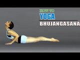 How To Do Yoga Bhujangasana for Diabetes and Relieve Back Pain, Blood Pressure