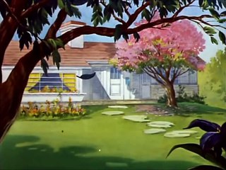 Tom and Jerry, 23 Episode - Springtime for Thomas (1946)