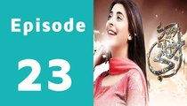 Mere Ajnabi Episode 23 Full on Ary Digital in High Quality
