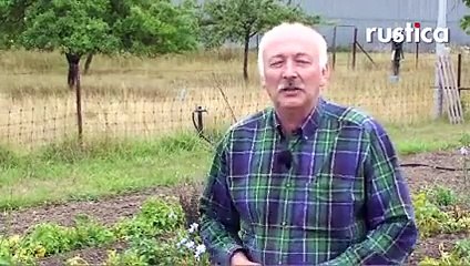 Préparer son jardin à l'automne