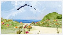 Ponte Vedra Beach, Best Wedding Clothes | 1.904.247.0713 | Ponte Vedra Beach, Florida.