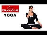 Yoga as Therapy to Cure Pranayam | Asana Postures, Diet Chart, Nutrition Management