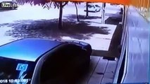 LiveLeak com Woman Defends Herself From Thief With A Frozen Chicken