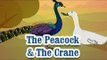Panchatantra Tales | The Peacock & The Crane | English Animated Stories For Kids