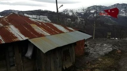 Ordu Şehit Babası: Burada Kedinin Bile 10 Dakika Duramayacağı Kadar Kötü Evler Var, Onlara da...