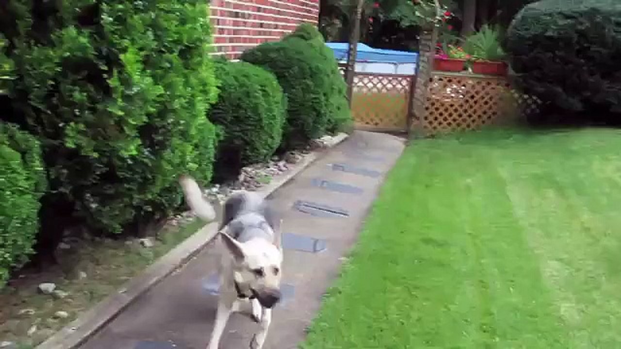 MONSTER UNDER BED! - BFVSGF