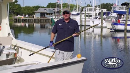 Marlin University Tips 2015 - How to Use a Gaff