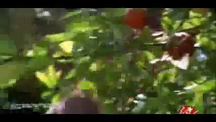 Hz. Muhammed: Allah'ın Elçisi Fragman - Hdfilmkabusu.com
