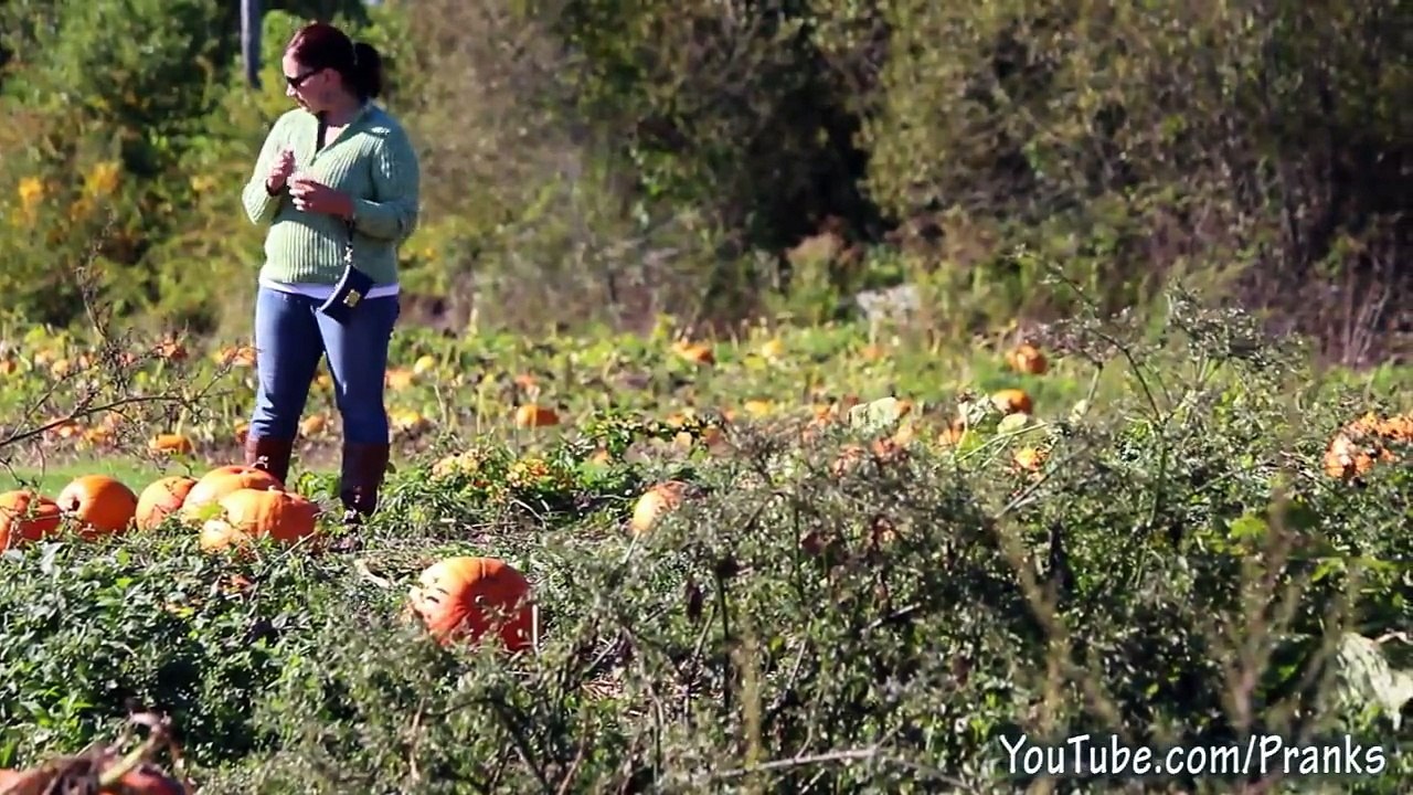 Pumpkin Patch Killer Halloween Scare Prank