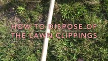 How I dispose of the lawn clippings!