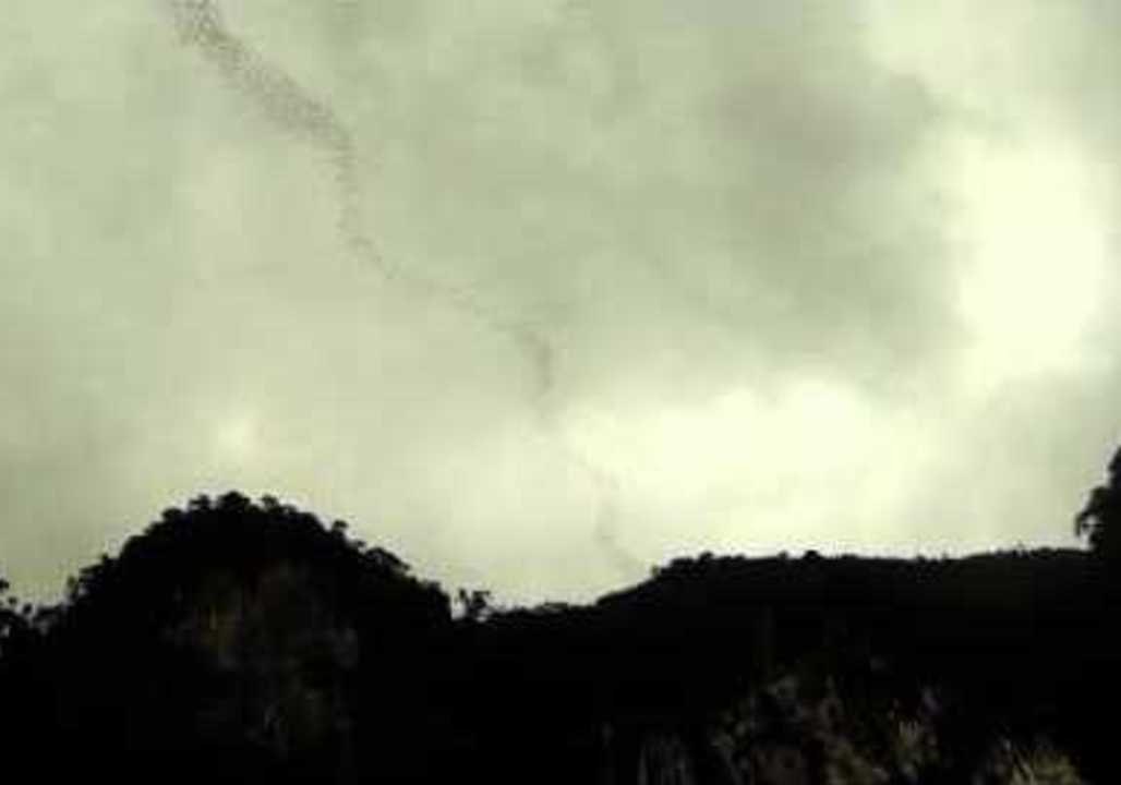 Millions of Bats Fly in Spectacular Formation video Dailymotion