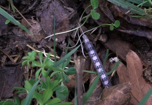 Le 18:18 - Marseille : ce parc des quartiers nord livré au squat et à la drogue