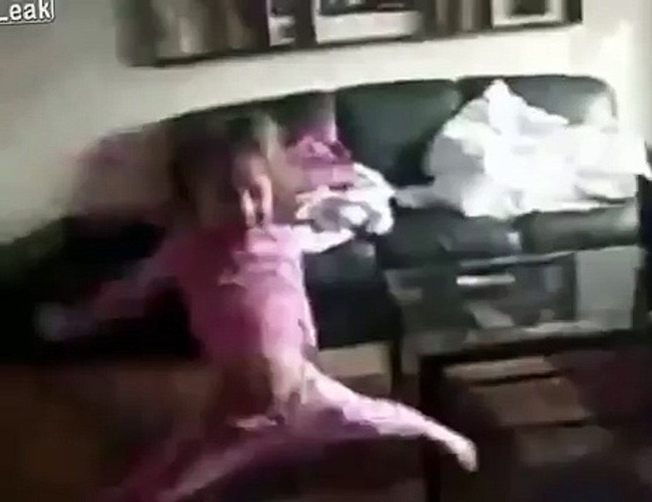 Brave cat protects a little girl from a vicious dog.