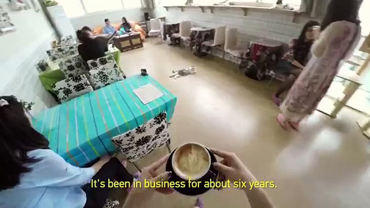 Funny Kittens and Coffee