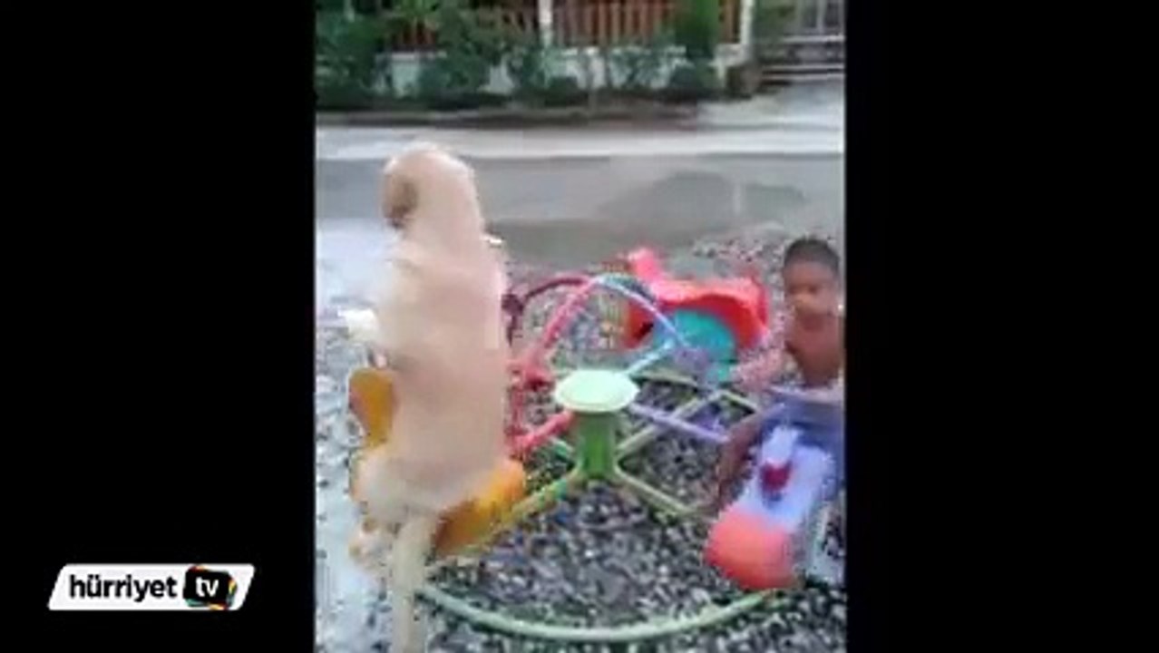 WWW.IZLEVIDEO.NET-Atlı Karıncaya Binen Köpek