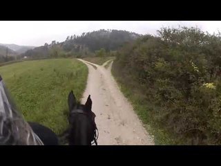Horse Kicks Rider's Face