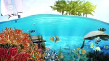 Biodiversity in the Seychelles | Global 3000