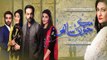 Mere Jevan Sathi Episode 23 ARY Digital - 7th January 2016 HD