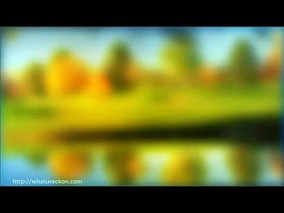 Brocolli and healthy choices