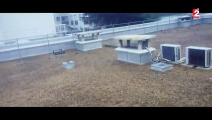 "Attentats : au  cœur des attaques" : le récit des fusillades