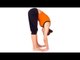 Padasana - Hand to Foot Pose, Yoga Exercise for During Pregnancy - English
