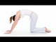 Marzarasana - Yoga For Back Pain, Exercise for During Pregnancy - English