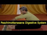Paschimottanasana - Yoga Exercises for Digestive System - English