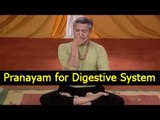 Pranayama -  Yoga Exercises for Digestive System - English