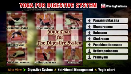 Yoga as Therapy to Cure The Digestive System | Asana Postures, Yogic Healing, Nutrition Management