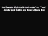 Soul Secrets: A Spiritual Guidebook to Your Team - Angels Spirit Guides and Departed Loved