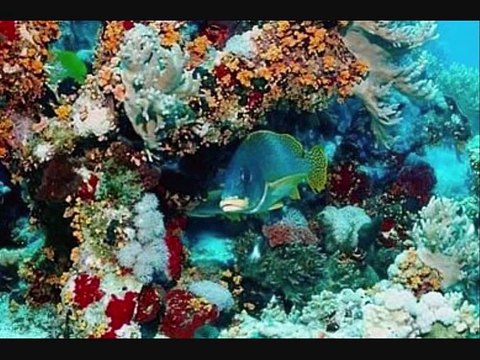 Top 10 most beautiful places on earth ! MUST SEE !