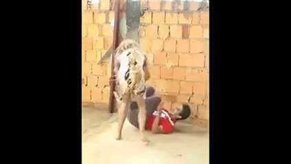 Já acabou Mãe