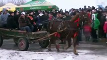 Raw: Romanian Horses Receive Epiphany Blessing